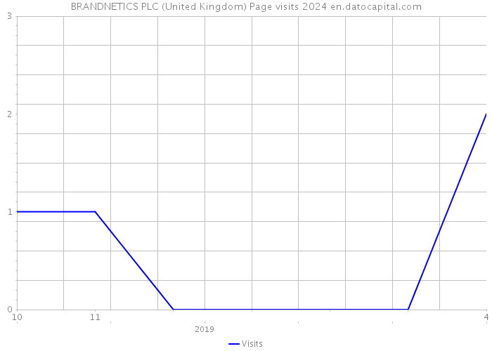 BRANDNETICS PLC (United Kingdom) Page visits 2024 