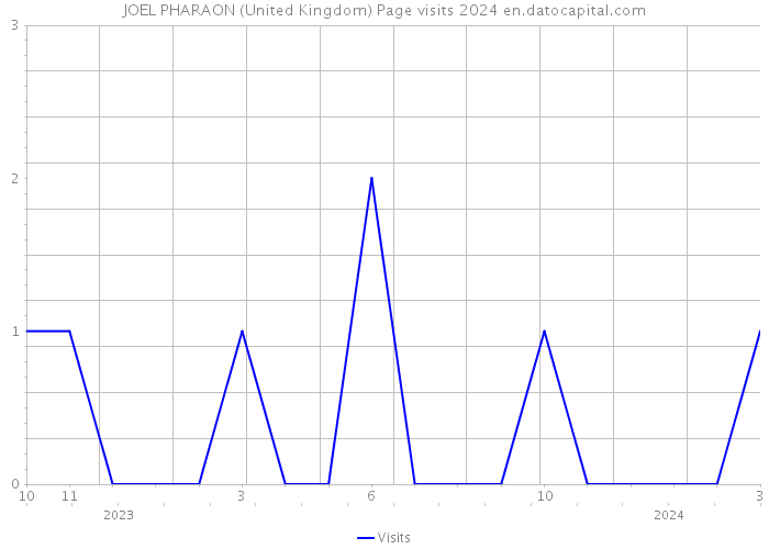 JOEL PHARAON (United Kingdom) Page visits 2024 
