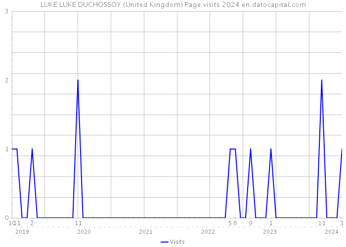LUKE LUKE DUCHOSSOY (United Kingdom) Page visits 2024 