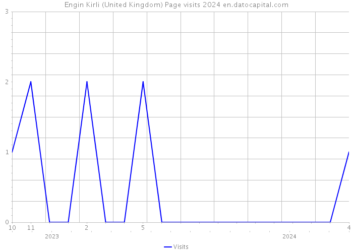 Engin Kirli (United Kingdom) Page visits 2024 