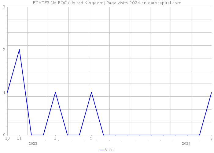 ECATERINA BOC (United Kingdom) Page visits 2024 