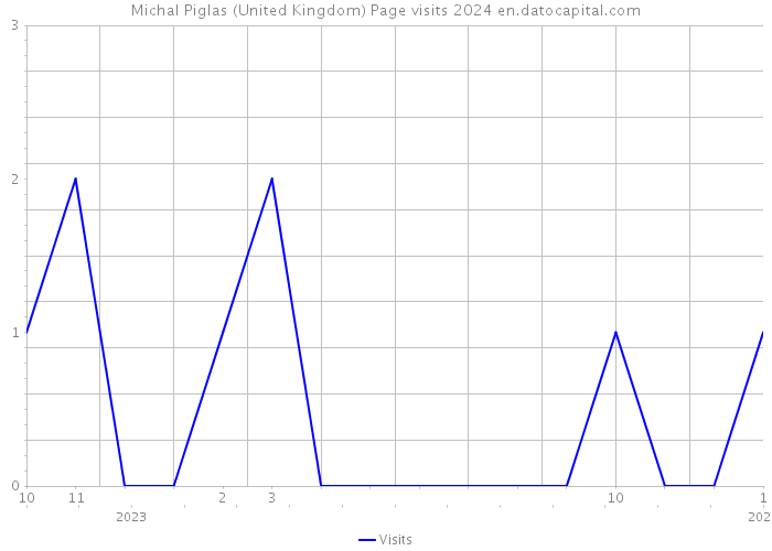 Michal Piglas (United Kingdom) Page visits 2024 