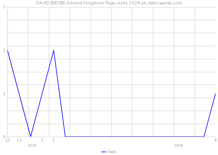 DAVID BIEGER (United Kingdom) Page visits 2024 