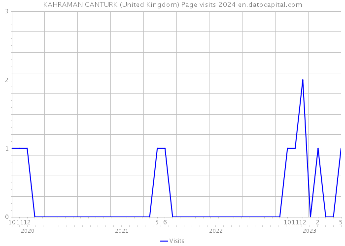 KAHRAMAN CANTURK (United Kingdom) Page visits 2024 