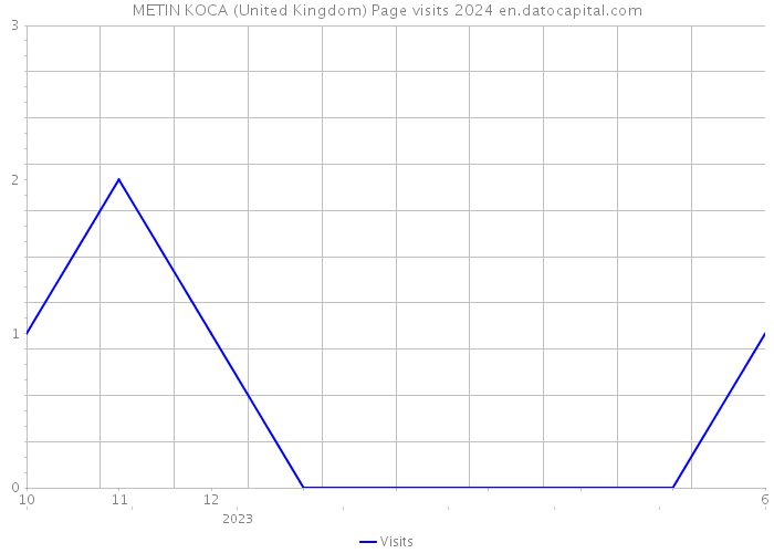 METIN KOCA (United Kingdom) Page visits 2024 