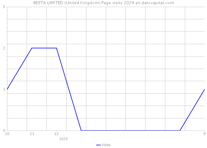 BESTA LIMITED (United Kingdom) Page visits 2024 