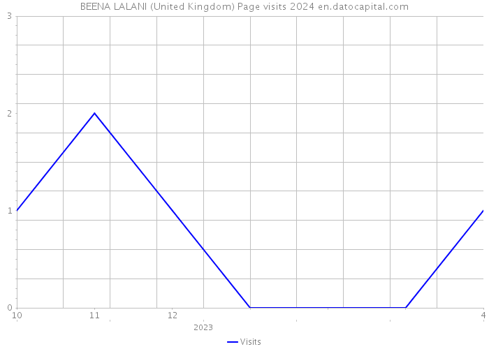 BEENA LALANI (United Kingdom) Page visits 2024 