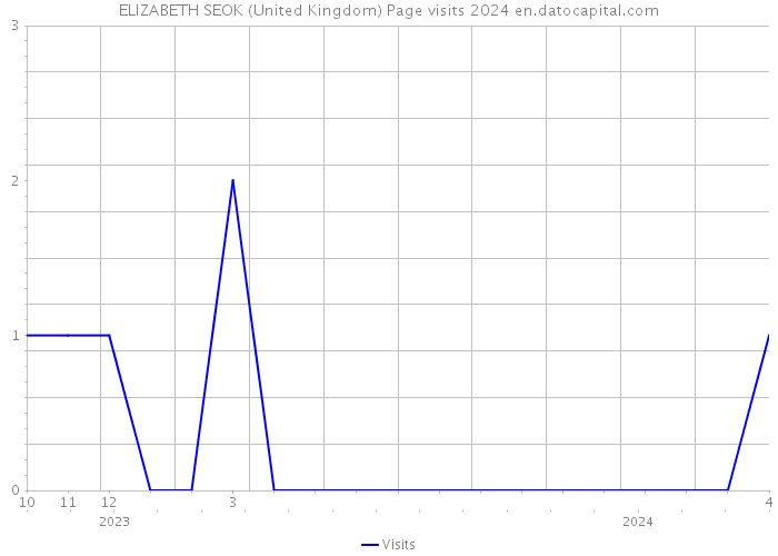 ELIZABETH SEOK (United Kingdom) Page visits 2024 