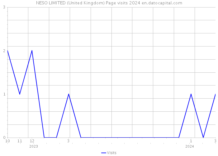 NESO LIMITED (United Kingdom) Page visits 2024 