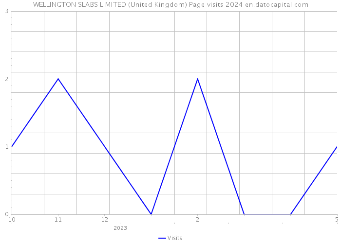 WELLINGTON SLABS LIMITED (United Kingdom) Page visits 2024 