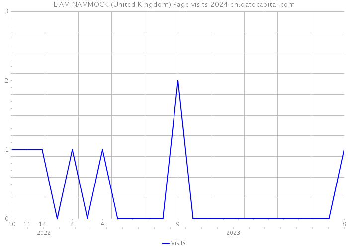 LIAM NAMMOCK (United Kingdom) Page visits 2024 