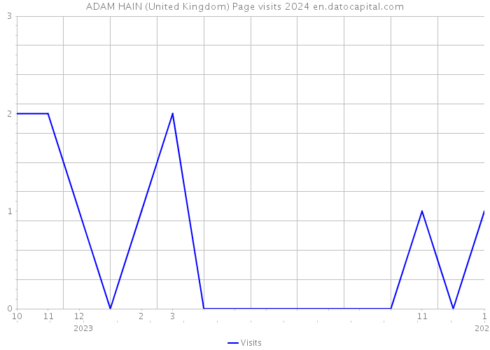 ADAM HAIN (United Kingdom) Page visits 2024 