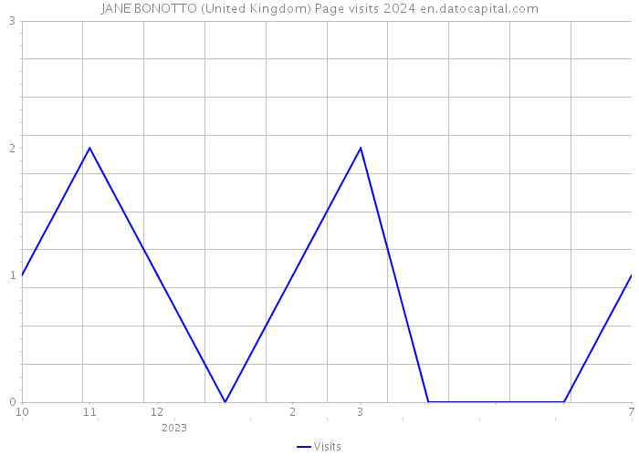 JANE BONOTTO (United Kingdom) Page visits 2024 