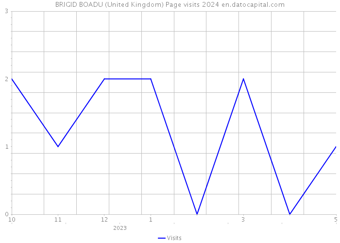 BRIGID BOADU (United Kingdom) Page visits 2024 