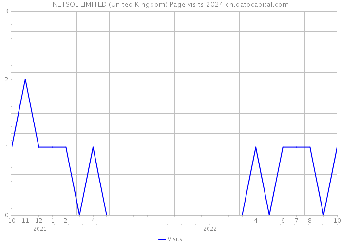 NETSOL LIMITED (United Kingdom) Page visits 2024 