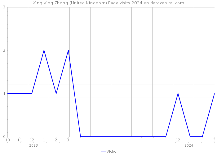 Xing Xing Zhong (United Kingdom) Page visits 2024 