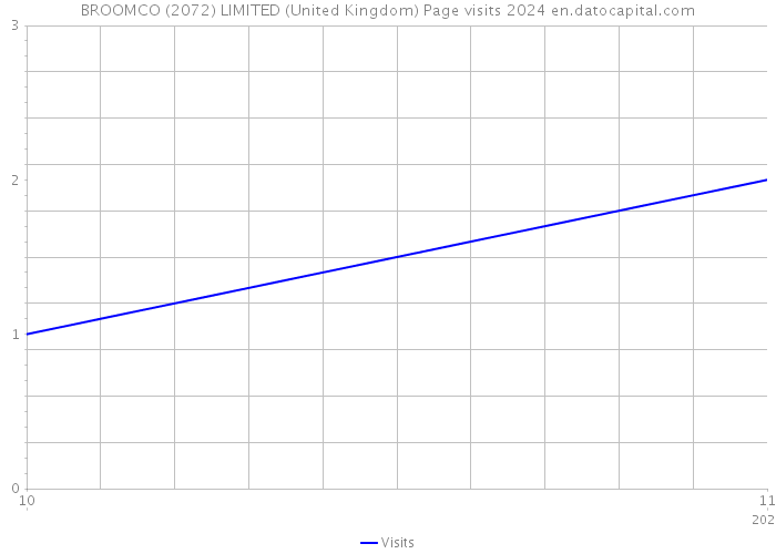 BROOMCO (2072) LIMITED (United Kingdom) Page visits 2024 