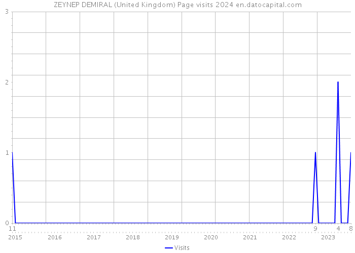 ZEYNEP DEMIRAL (United Kingdom) Page visits 2024 