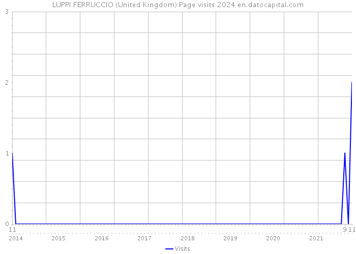 LUPPI FERRUCCIO (United Kingdom) Page visits 2024 