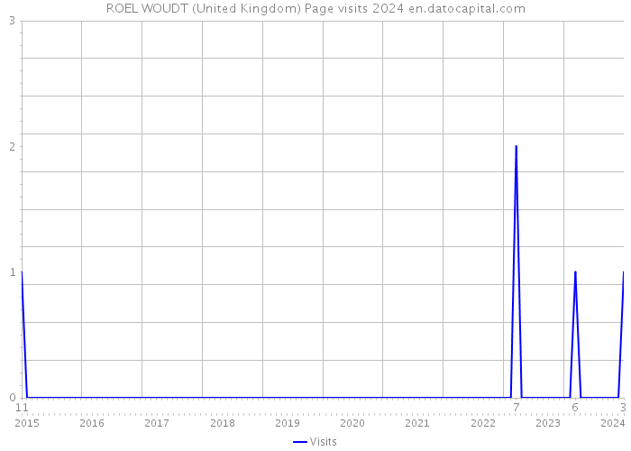 ROEL WOUDT (United Kingdom) Page visits 2024 