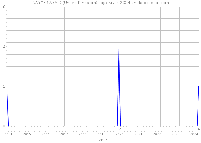 NAYYER ABAID (United Kingdom) Page visits 2024 