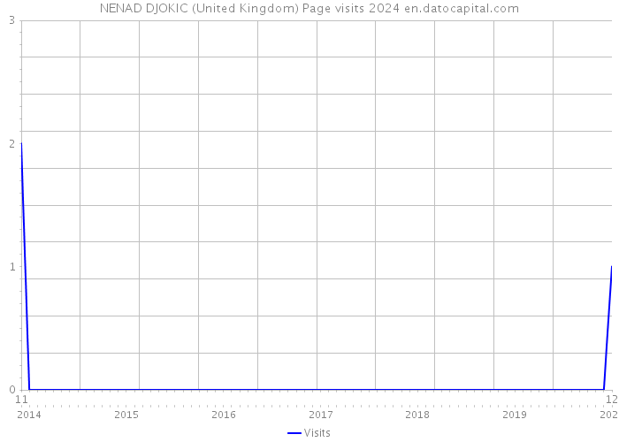 NENAD DJOKIC (United Kingdom) Page visits 2024 