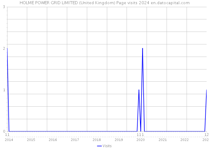 HOLME POWER GRID LIMITED (United Kingdom) Page visits 2024 