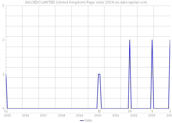 SALCEDO LIMITED (United Kingdom) Page visits 2024 