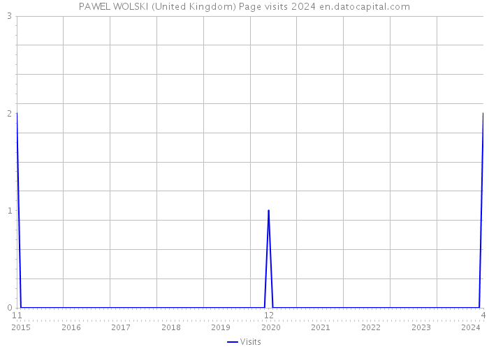 PAWEL WOLSKI (United Kingdom) Page visits 2024 