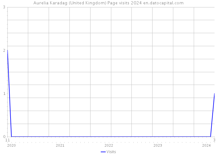 Aurelia Karadag (United Kingdom) Page visits 2024 