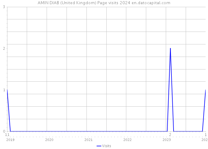 AMIN DIAB (United Kingdom) Page visits 2024 