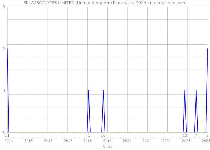 BKI ASSOCIATES LIMITED (United Kingdom) Page visits 2024 