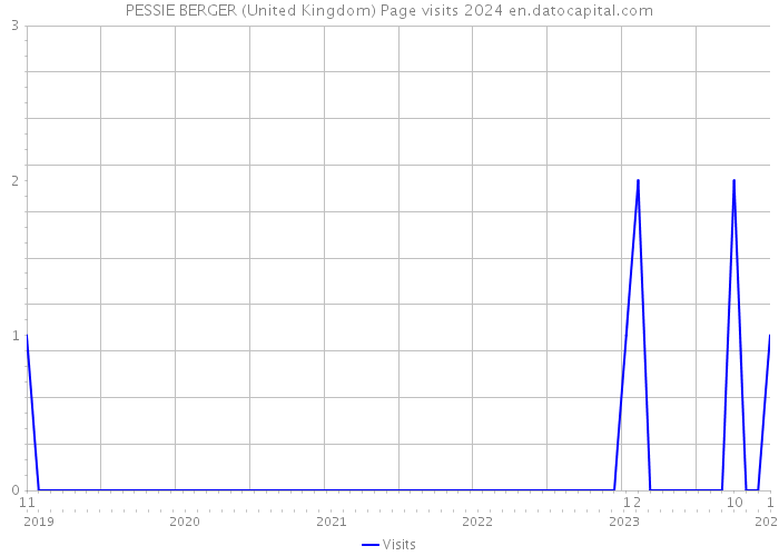 PESSIE BERGER (United Kingdom) Page visits 2024 