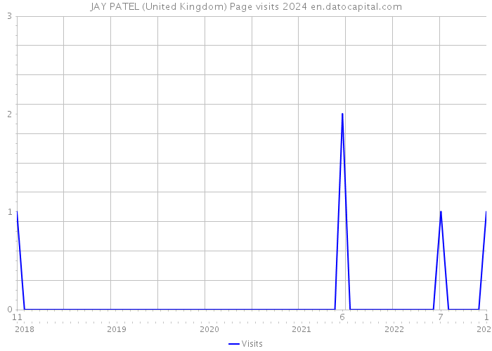 JAY PATEL (United Kingdom) Page visits 2024 