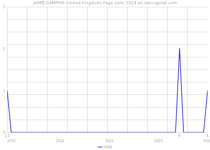 JAMIE CAMPINS (United Kingdom) Page visits 2024 