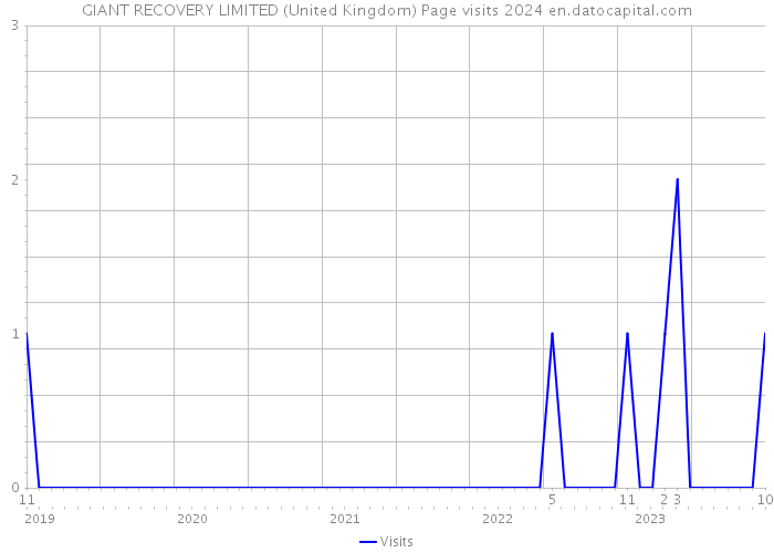 GIANT RECOVERY LIMITED (United Kingdom) Page visits 2024 