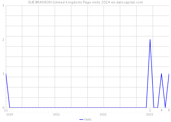 SUE BRANSON (United Kingdom) Page visits 2024 