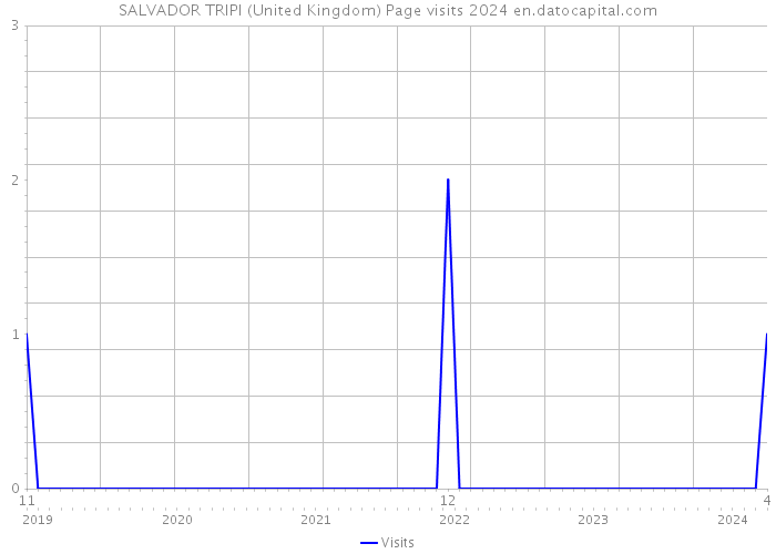 SALVADOR TRIPI (United Kingdom) Page visits 2024 