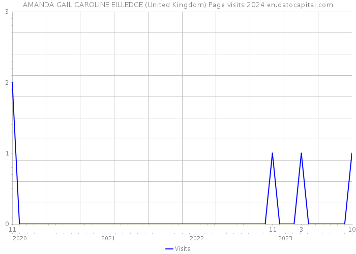 AMANDA GAIL CAROLINE EILLEDGE (United Kingdom) Page visits 2024 
