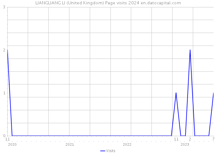 LIANGLIANG LI (United Kingdom) Page visits 2024 