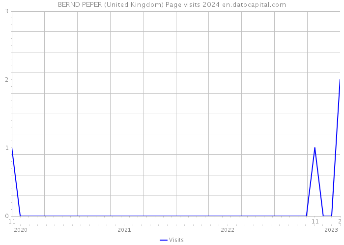 BERND PEPER (United Kingdom) Page visits 2024 