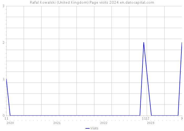 Rafal Kowalski (United Kingdom) Page visits 2024 