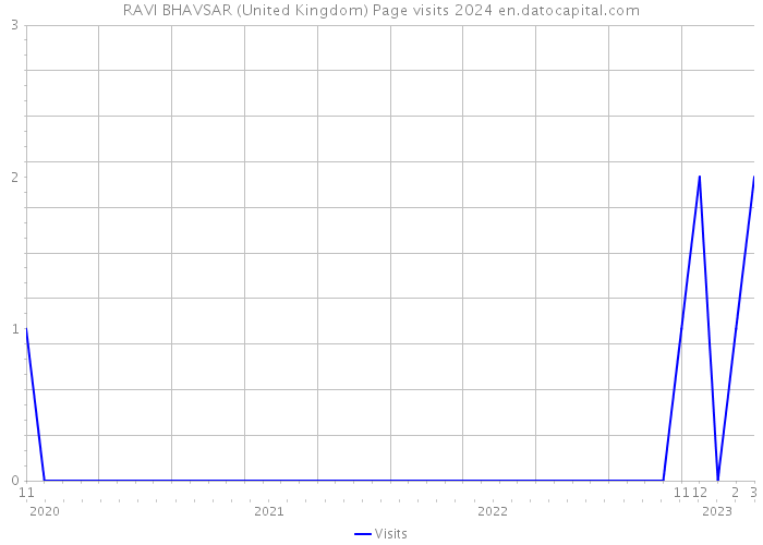 RAVI BHAVSAR (United Kingdom) Page visits 2024 