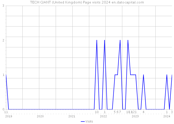 TECH GIANT (United Kingdom) Page visits 2024 
