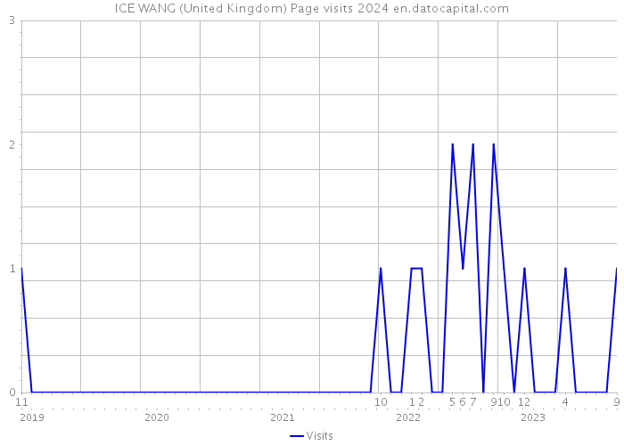 ICE WANG (United Kingdom) Page visits 2024 