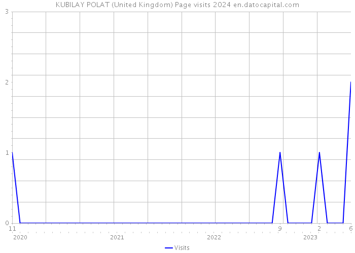 KUBILAY POLAT (United Kingdom) Page visits 2024 