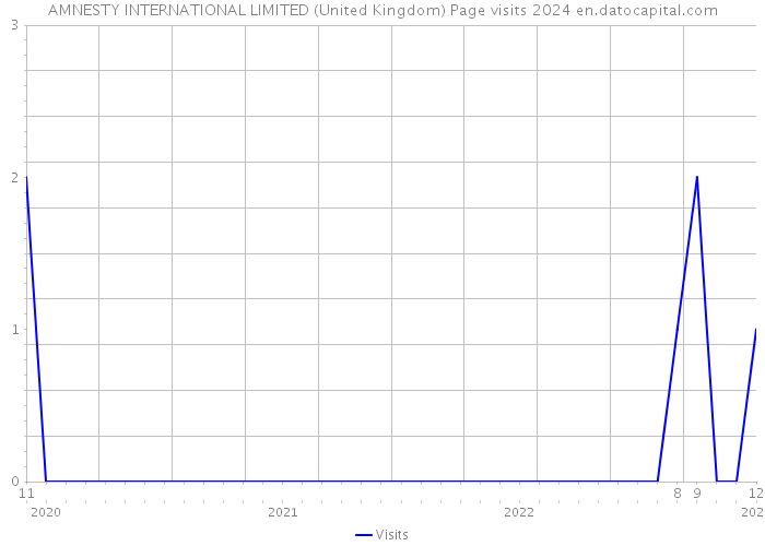AMNESTY INTERNATIONAL LIMITED (United Kingdom) Page visits 2024 