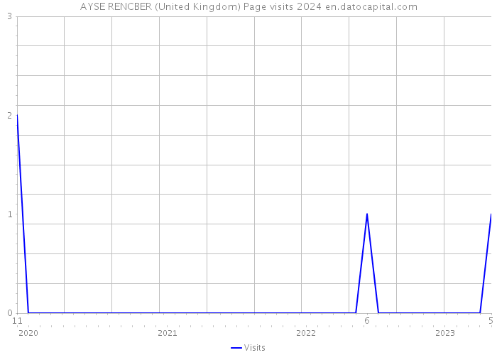 AYSE RENCBER (United Kingdom) Page visits 2024 