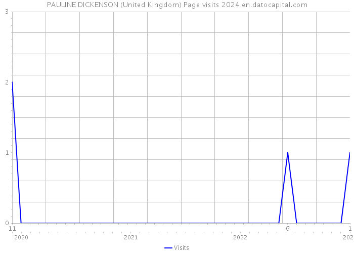 PAULINE DICKENSON (United Kingdom) Page visits 2024 