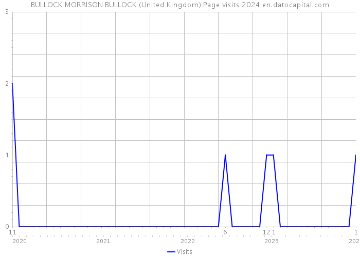 BULLOCK MORRISON BULLOCK (United Kingdom) Page visits 2024 